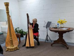 Ann playing the Irish harp